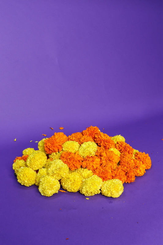 Marigold flowers