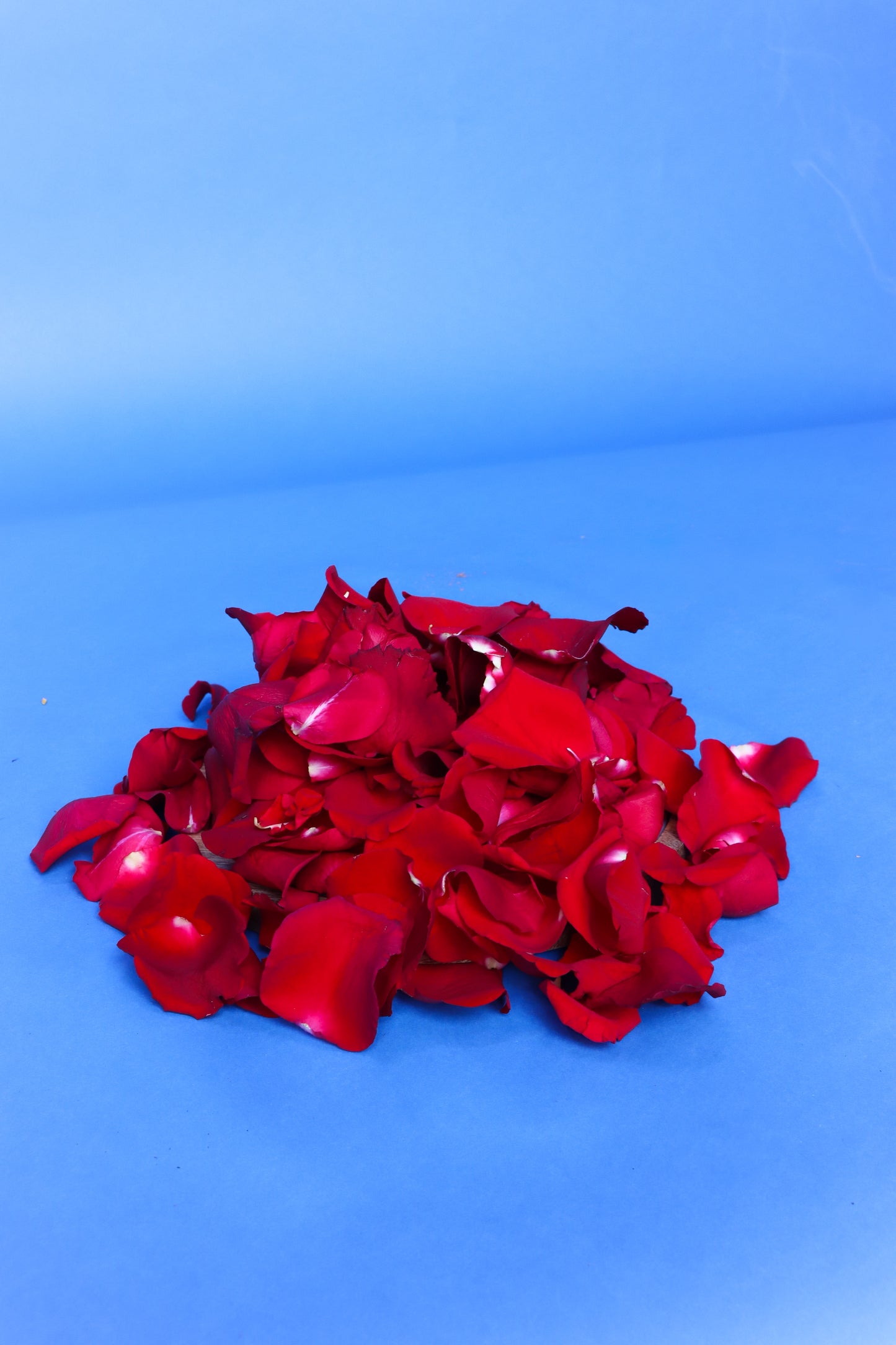 Rose petals