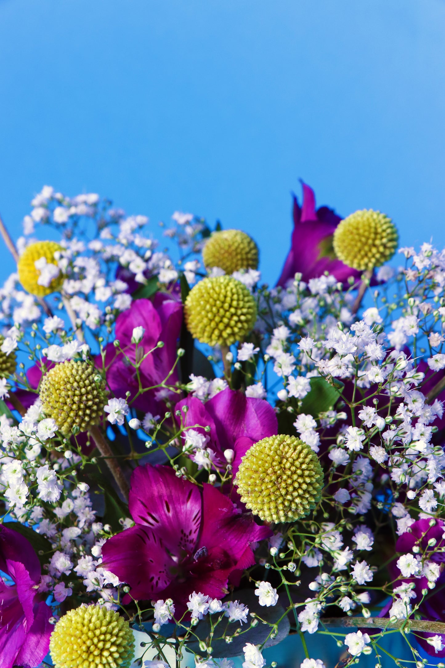 Flower Cracker